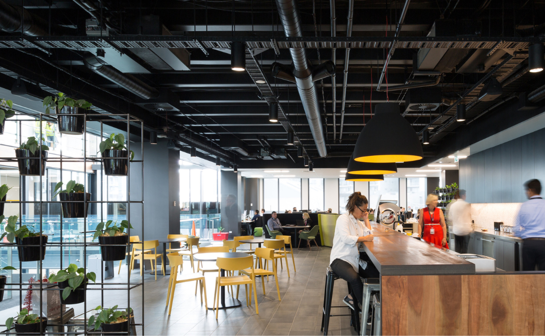 The future of workplaces: Prioritising wellbeing, creativity, and sustainability